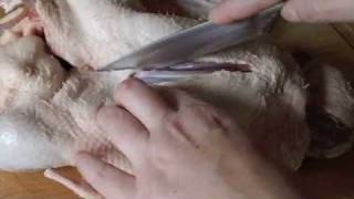 How To Butcher A Duck