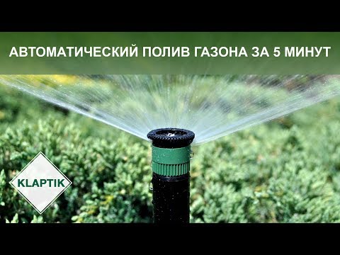 Вопрос: Как эффективно поливать газон?