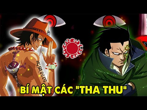Video Bí Ẩn Đắng Sau Hình Xăm, Dấu Ấn Của Hải Tặc One Piece - youtube