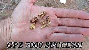 GPZ 7000 Gold Nugget Detection | Back in the Saddle With Epic Find