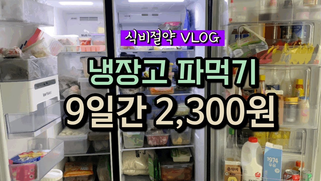 식비절약 vlog | 냉장고 파먹기 | 식비아껴서 저축하자 | 9일간 식비 2300원✌️