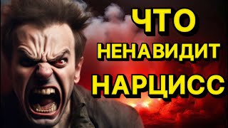 видео: ЧТО НЕНАВИДИТ НАРЦИСС #отношения #психология #нарцисс #психологияотношений картинка: ЧТО НЕНАВИДИТ НАРЦИСС #отношения #психология #нарцисс #психологияотношений