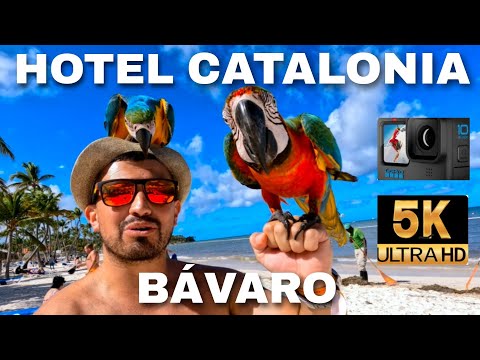 Casino Adobes Octubre 2011.mp4