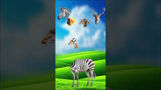 #cow #animation #cartoon #funny #comedy #viralvideo #trending #animals #funnyvideo #zebra #lion