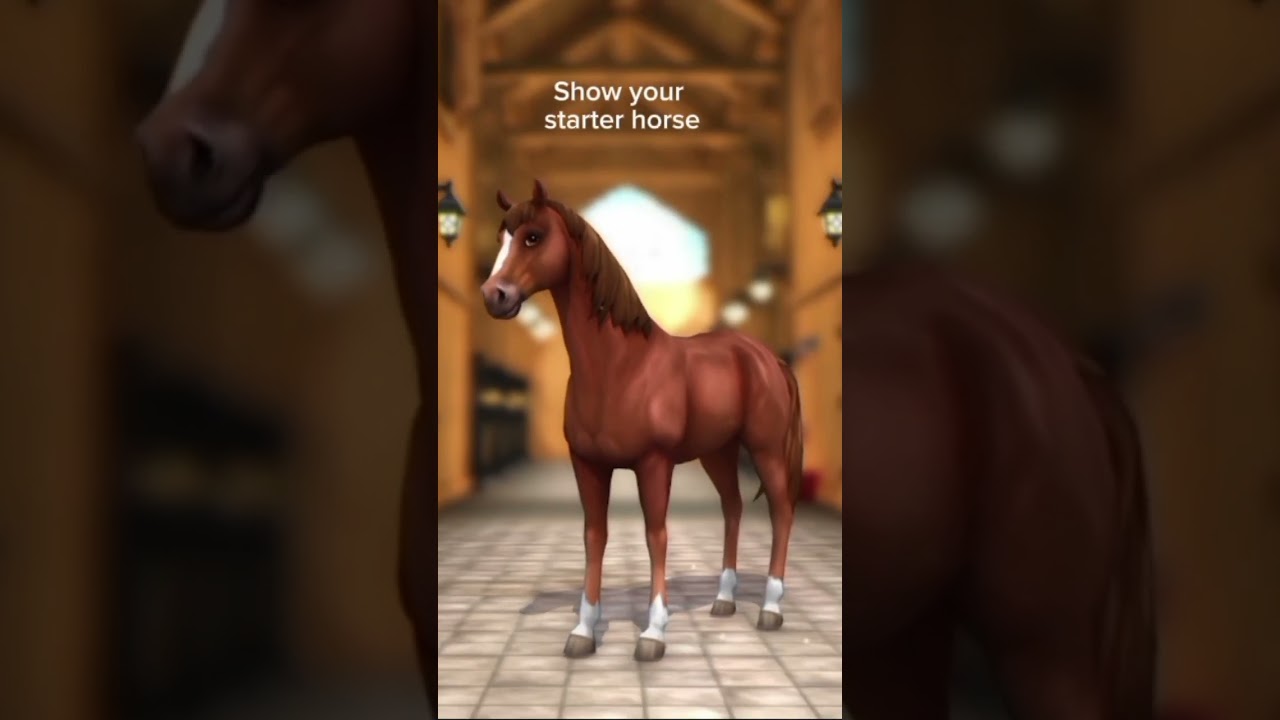 My star stable challenge 