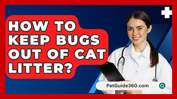 How To Keep Bugs Out Of Cat Litter? - PetGuide360.com