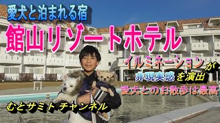 第18弾【愛犬と泊まれる宿】館山リゾートホテル イルミネーションが非現実感を演出 愛犬のお散歩は最高♪ 温泉はトロトロの自家源泉♪
