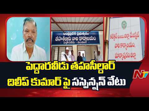 Peddaraveedu Tahsildar Dilip Kumar Suspended | Markapuram | NTV Telugu - NTVTELUGU