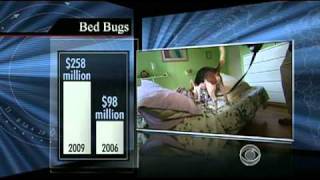 North American Bedbug Summit