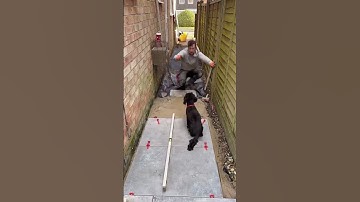 Installing a porcelain path #landscaping #garden #subscribe