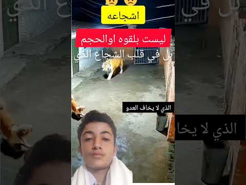 الشجاع ليست بالقوه ولابلحجم الشجاعة هي من القلب 