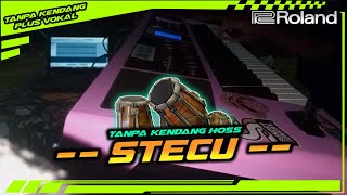 TANPA KENDANG STECU STYLE HOUSE REMIX || SAMPLING STYLE ROLLAND BK 5