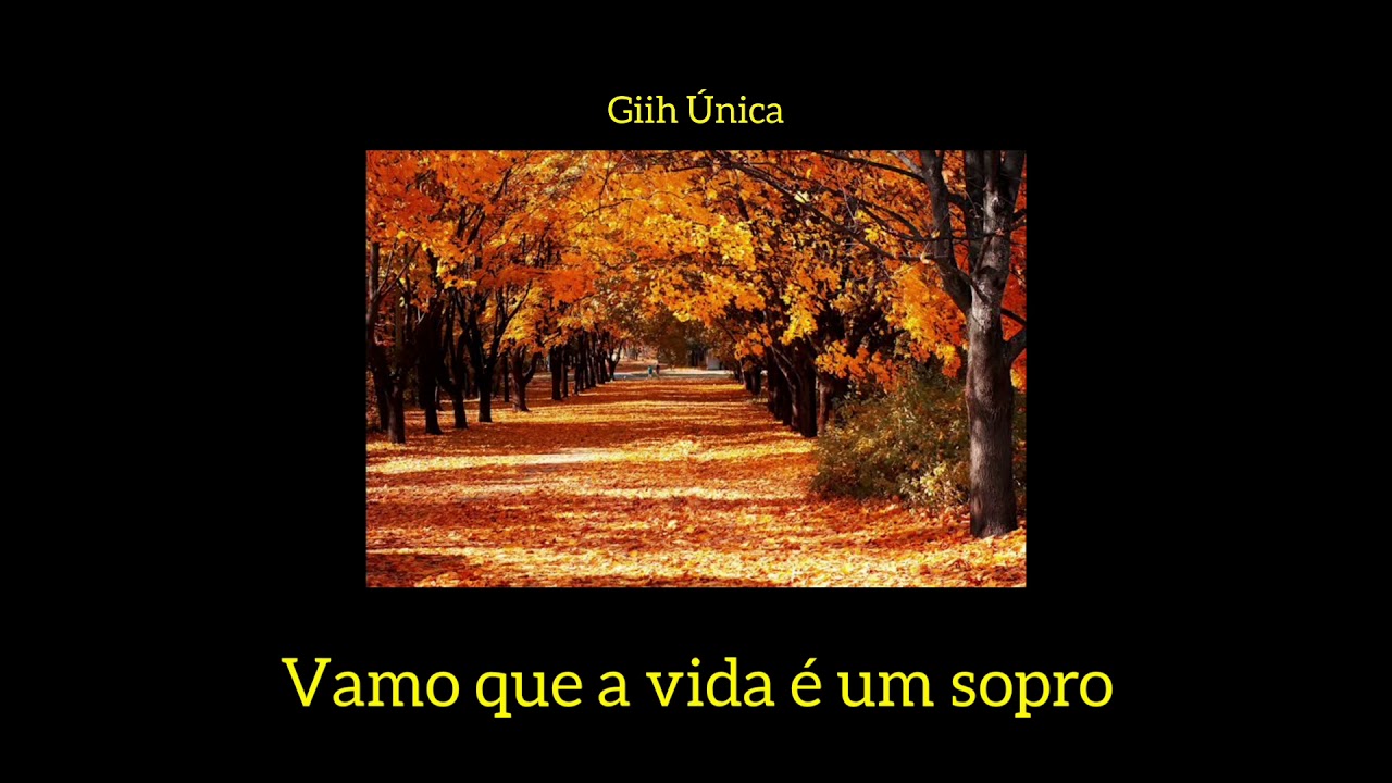 Fiitu - Outono (status para WhatsApp)