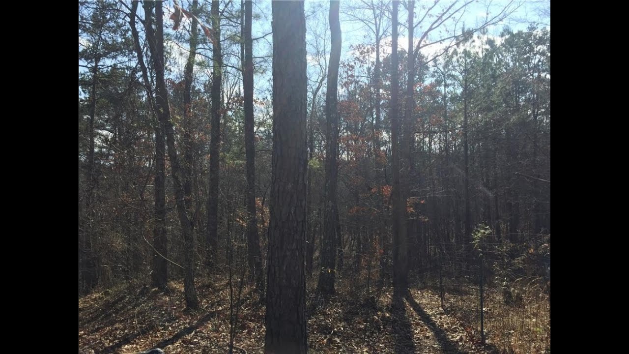Lots And Land for sale Lot 4 Tibbitts Road, Dallas, GA 30132 YouTube