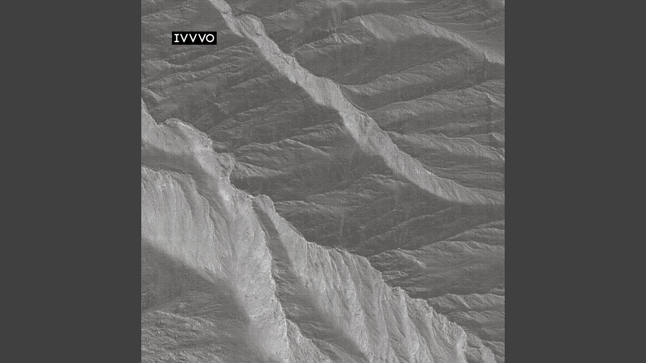 Watch Night Forest on YouTube Watch Night Forest on YouTube