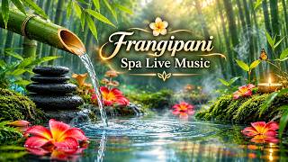 Relaxation Music: Bamboo Water Fountain + Healing Piano 🌿 Sleep Music, Meditation and Nature Sounds