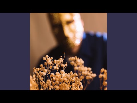 MR TOUT LE MONDE - Souvenir