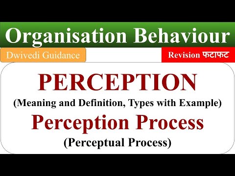 Video: Co je percepční proces v organizačním chování?