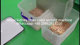 White kidney bean color sorting machine