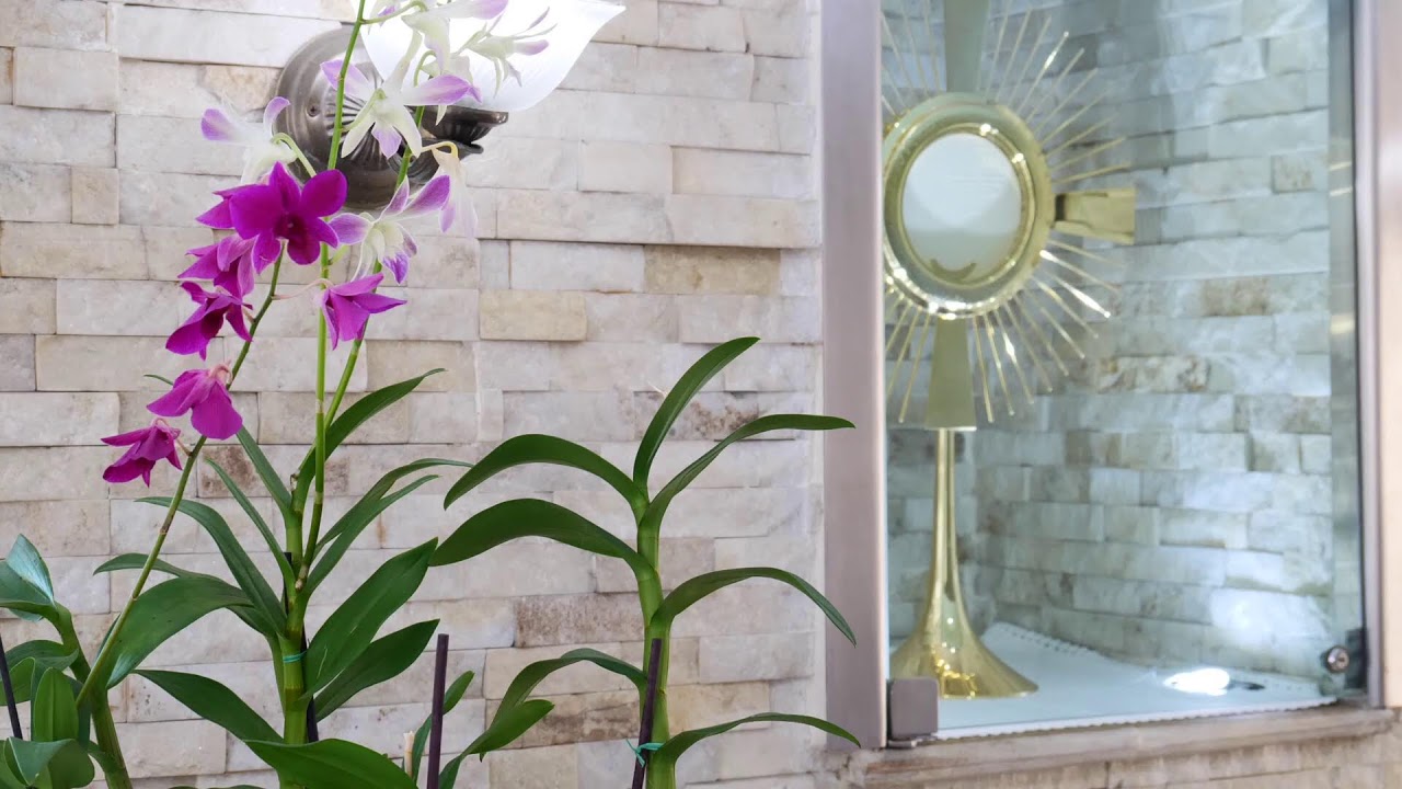 Coronilla a La Divina Misericordia-09/03/2026.