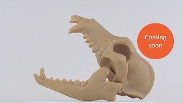 Liqcreate Premium Model - Coming soon!