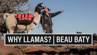 WHY LLAMAS | WILDERNESS RIDGE TRAIL LLAMAS | BEAU BATY | 🎙️ GRITTY EP. 754