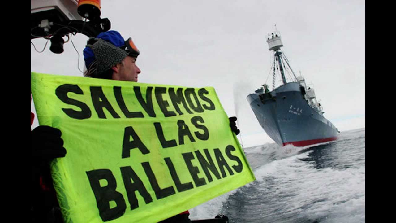 La J*dida Moda de Happy Wheels - La historia de Fran