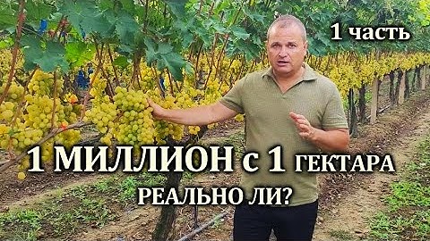 1 МИЛЛИОН С 1 ГА РЕАЛЬНО ЛИ ЭТО? ПОДРОБНЫЙ ОБЗОР ТЕХНОЛОГИИ.