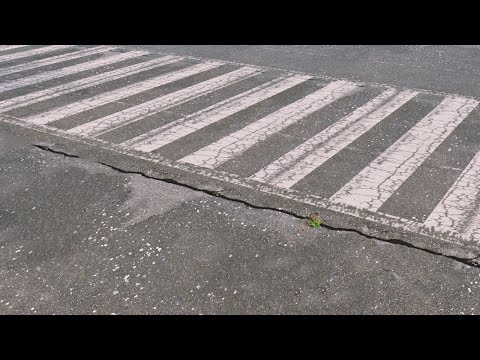 Crosswalk Asset (横断歩道アセット制作)