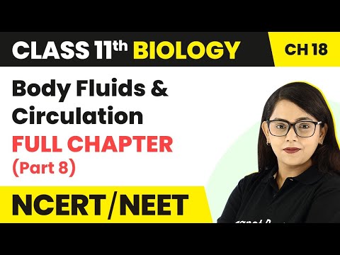 Body Fluids & Circulation Full Chapter Explanation (Part8)| Class 11 Biology Chapter 18 | NCERT/NEET