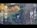 【土地の境界線】30年以上放置された畑の整備が大変すぎた#30