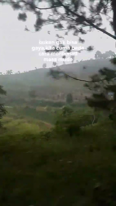 jalur Cipanas Cianjur menuju puncak 🥶 #storywa # #fypyoutube #fypシ #fypシ゚viral