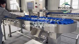 High confirgartion Weight Sorting Machine