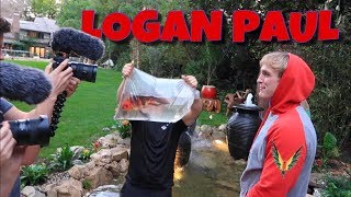 Logan Pauls Backyard Pond New Fish