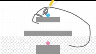 Brain Dots Level 204