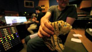 The Kandinsky Effect - Studio Teazer Lil Tiger