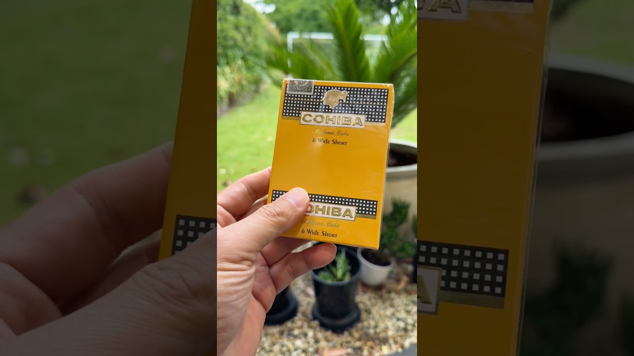 Cohiba Wide Short Mini | ASMR Cut & Light