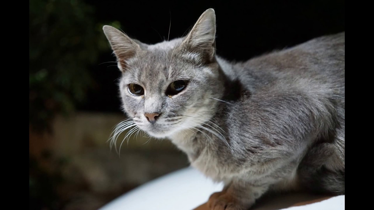 Sony alpha 6000 + Sigma art 19mm f2.8