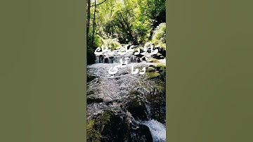 سوره الضحي🌻 بصوت الشيخ|محمود الشحات⏳✨|  #قران_كريم #محمود_الشحات #الشيخ_محمود_الشحات #سوره الضحي