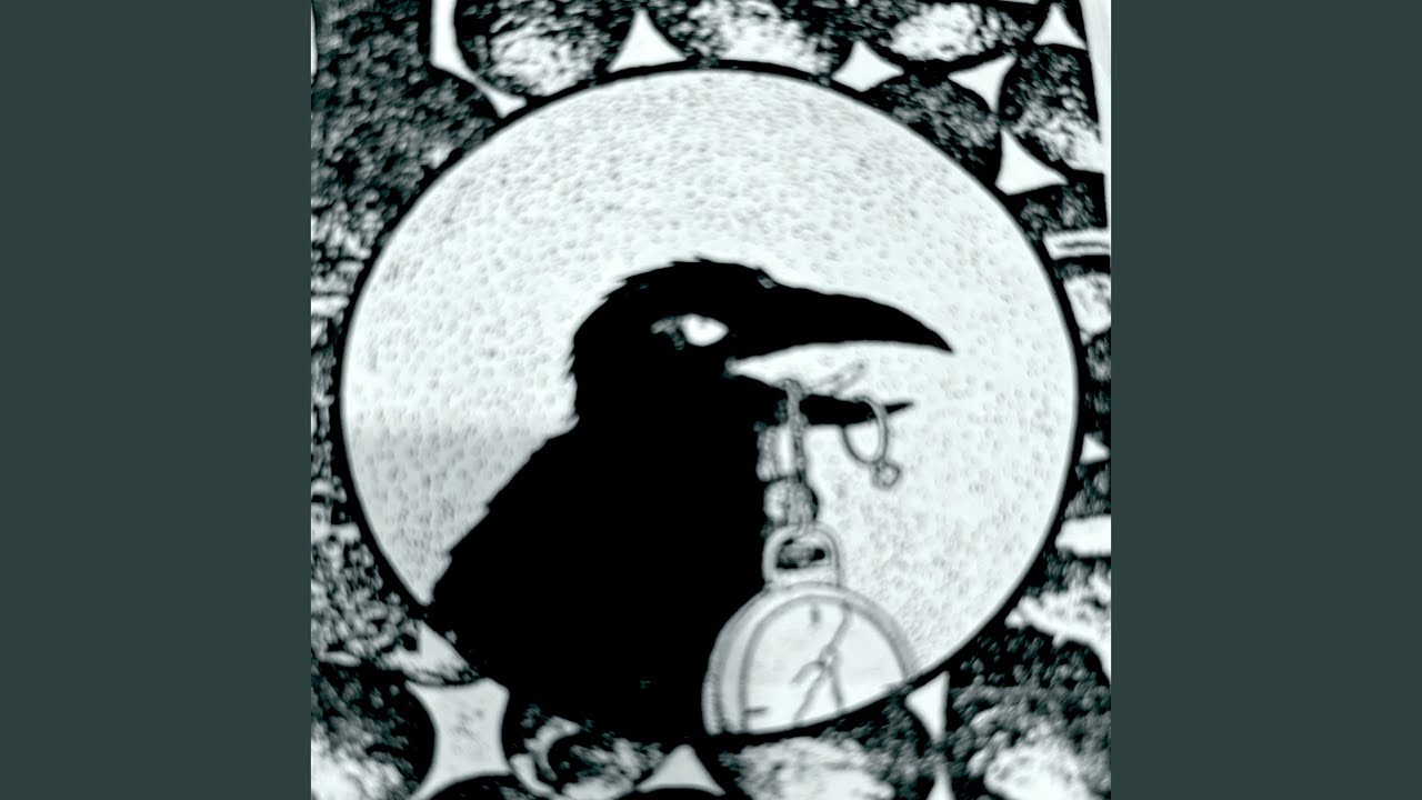 Black Crow