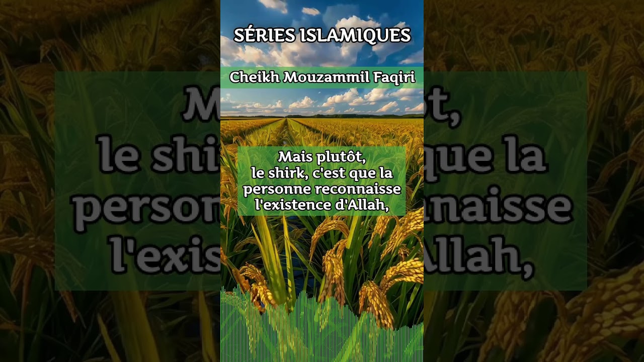 Le vrai sens du shirk expliqué - Cheikh Mouzammil Al Faqiri