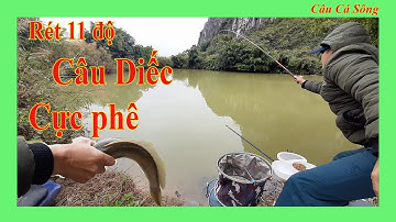 Câu Đài Miền Bắc | Rét 11 Độ Câu Diếc Gặp Anh Sộp Vào Đớp Mồi Chạy Như Hugo