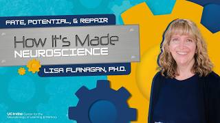 Fate, Potential, & Repair | How It's Made: Neuroscience | Lisa Flanagan, PhD