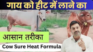 गाय को हीट में लाने के लिए दवा Cow ko Heat me Lane ki Medicine by Ramawat vet gyan