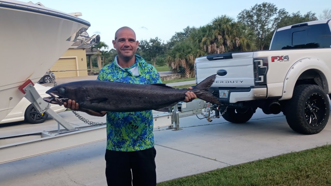 ‪@RJBoyleStudio‬