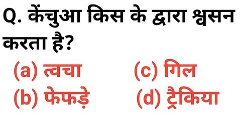 CTET/UPTET 2023 पर्यावरण अध्ययन | 25 Most Important Questions | EVS Notes | GK Hindi | By Alok