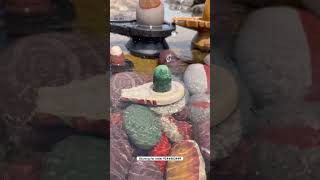 All type of Narmdeshwar shivlingam for home pooja ll for order 9244803449 #narmdeshwarshivling