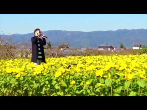 指田フミヤ「花になれ」 (COVER)／福島県伊達市ひまわり祭り【小島秀晃】