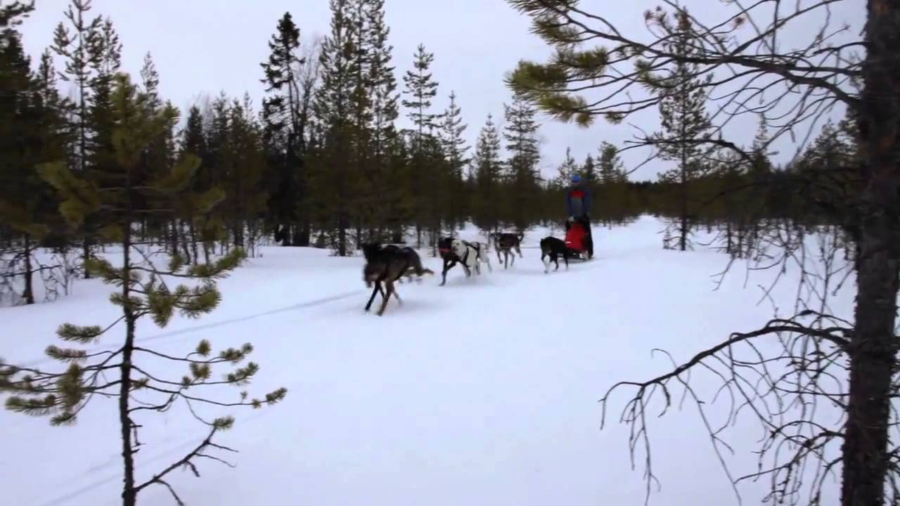 Välkommen till Fredrika