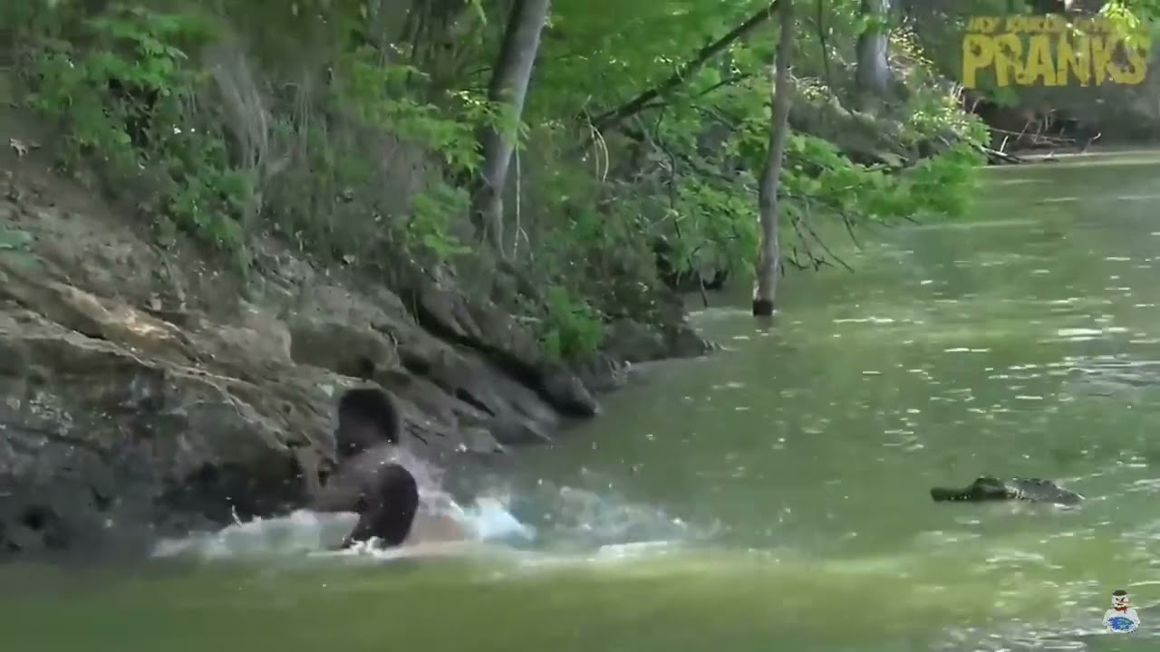 When John Cena confronts a crocodile 😂🤣😂🤣👌